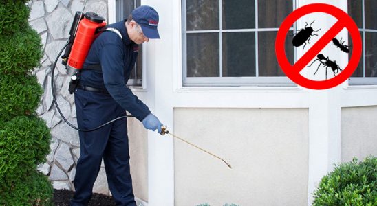 Şişli Karınca İlaçlama böcek ilaçlama ve haşere kontrolü — ilaclama-tr.com